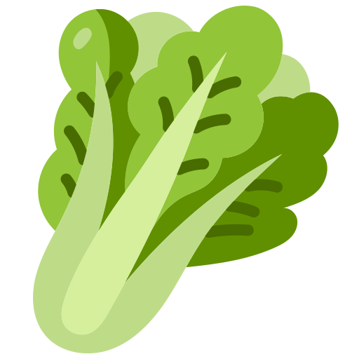 Vegan